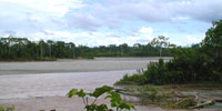 The Rio Aguarico in Ecuador on the far western side of the Amazon Basin. It is a large tributary of the Rio Napo, iteslf a tributary of the Amazon