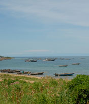 Lake Tanganyika shoreline